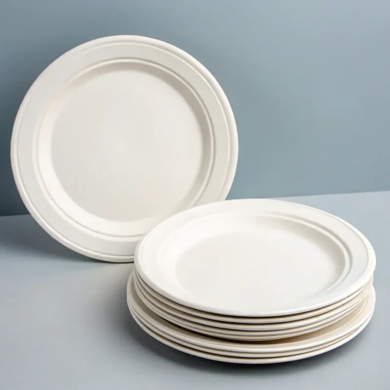 Compostable Dinner Plates